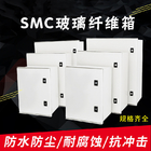 Коробка IP65 приложения SMC стеклянная усиленная пластиковая сверхмощная