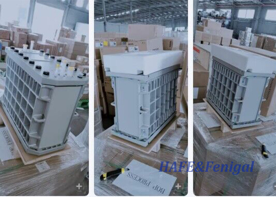 Ultra Pure Water System Hot Water Sanitizable Stacks Reverse Osmosis EDI Membrane Stack (Ультрачистая водная система горячей воды, очищаемая с помощью реверсной осмосы)