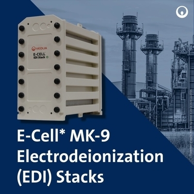 Veolia MK-9 EDI Stack 35 GPM Сверхчистая вода для солнечной фотоэлектрической энергии