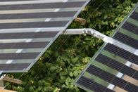 1 Kw с системы установки плоской крыши панели солнечных батарей решетки с Pro инвертором